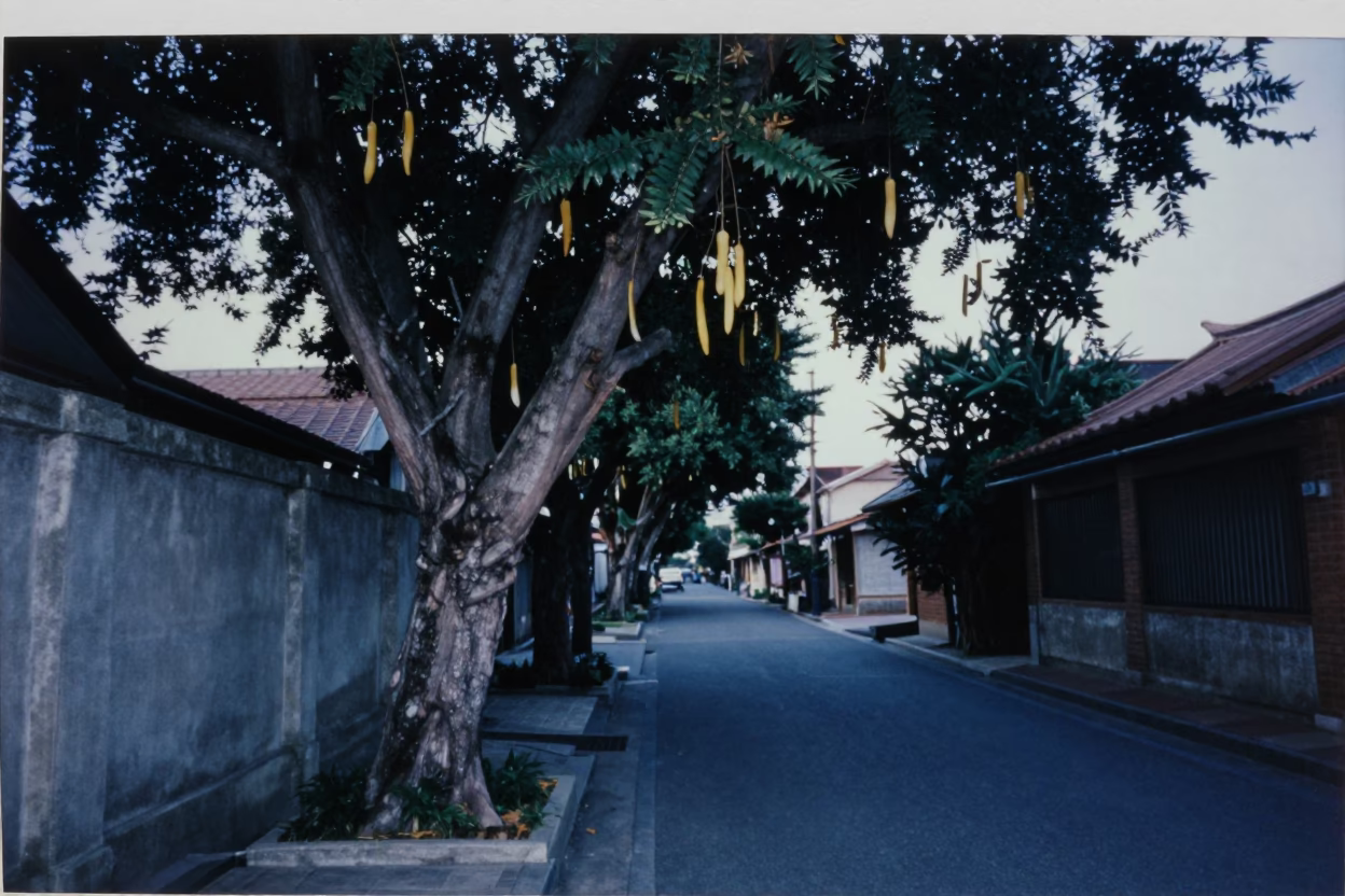 Predawn Tainan Street Scene with Tamarind Tree and Concrete Cooling Canal in in Tainan, Taiwan