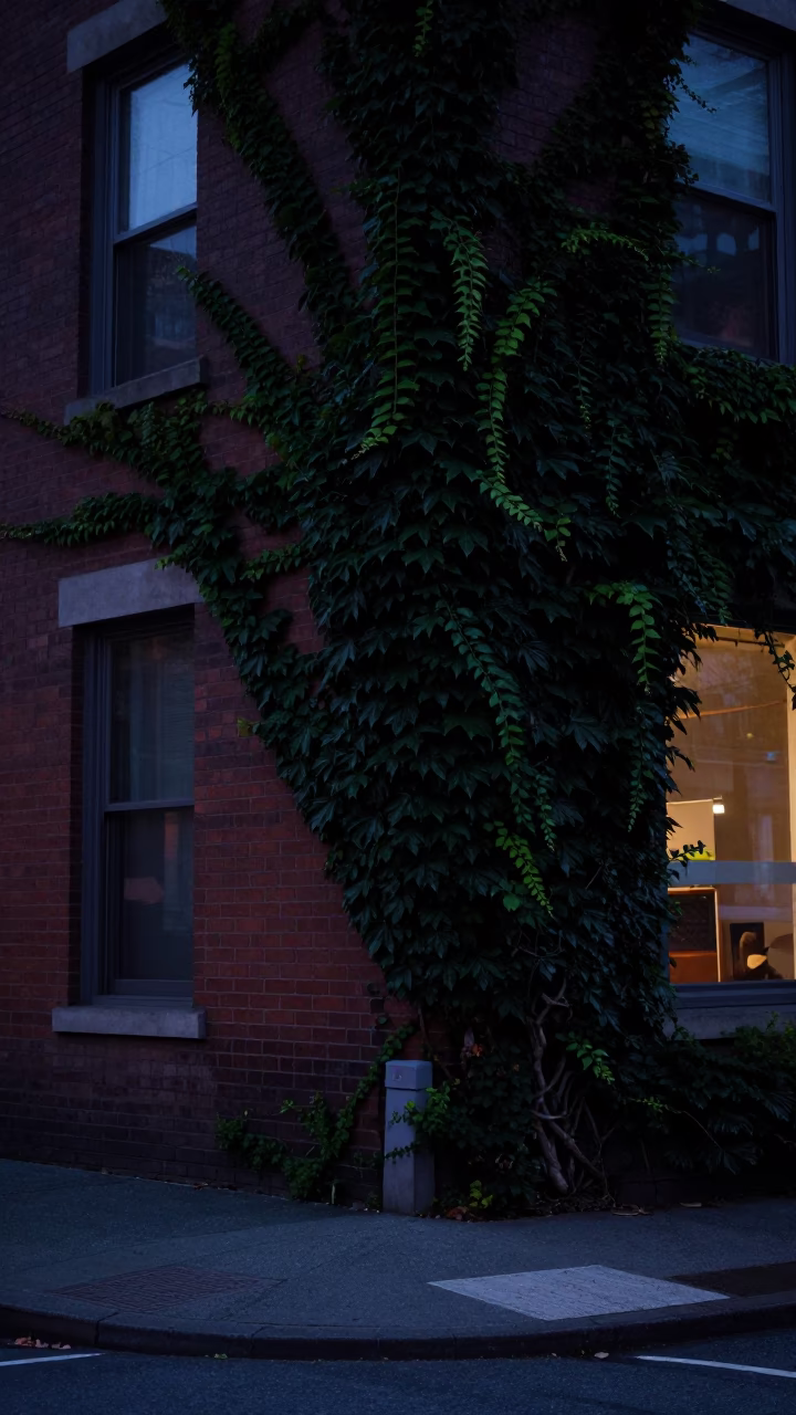 Predawn Vancouver Street Scene with Ivy Vines and Urban Infrastructure in in Vancouver, British Columbia, Canada