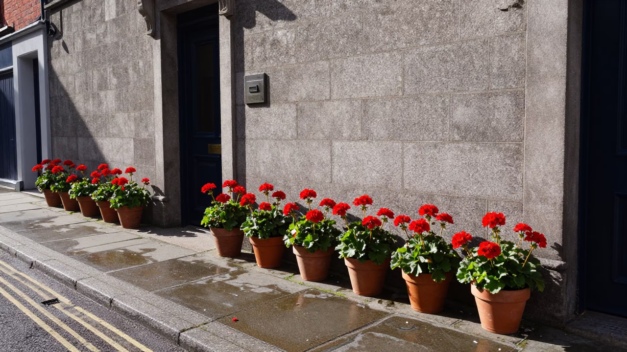 Pub Entrance in Dublin in in Dublin, Ireland