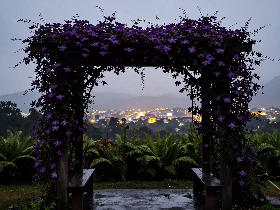 Purple Clematis Pergola Backlit Forest Twilight in on a fern-lined forest floor near Puerto Vallarta