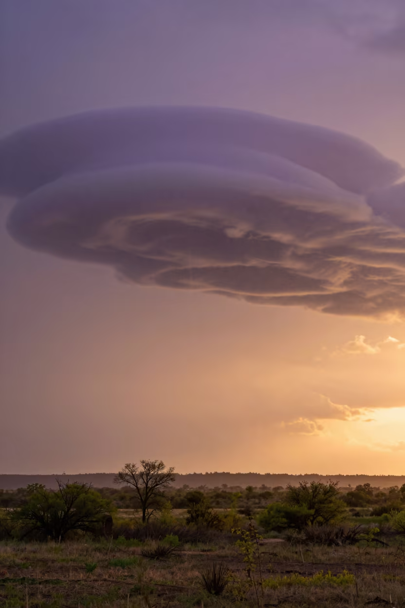 Purple Mammatus Clouds Over Texas Sunset Rain in in Texas
