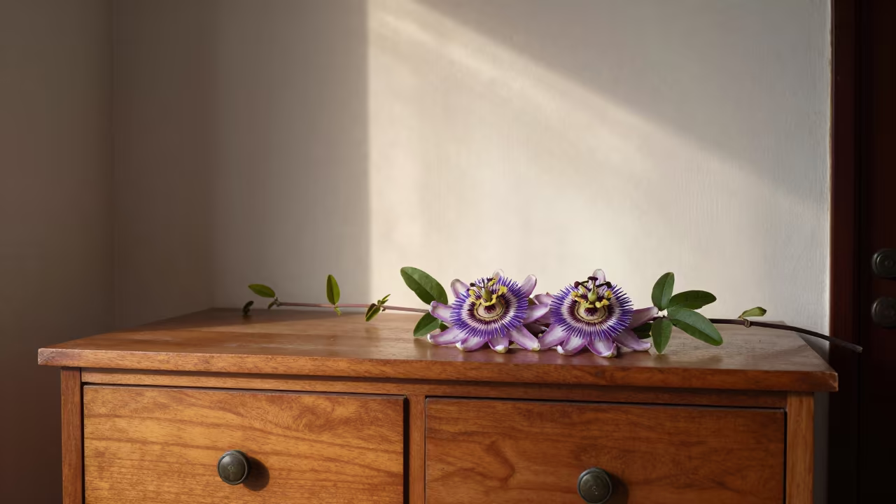 Purple Passionflower Blooms on Hotel Dresser in on a hotel dresser in Ludhiana