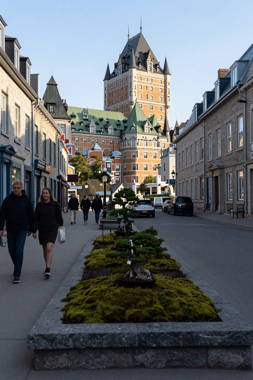 Quebec City Late Afternoon Street Scene with Moss Garden and Stone Slab in in Quebec City, Quebec, Canada