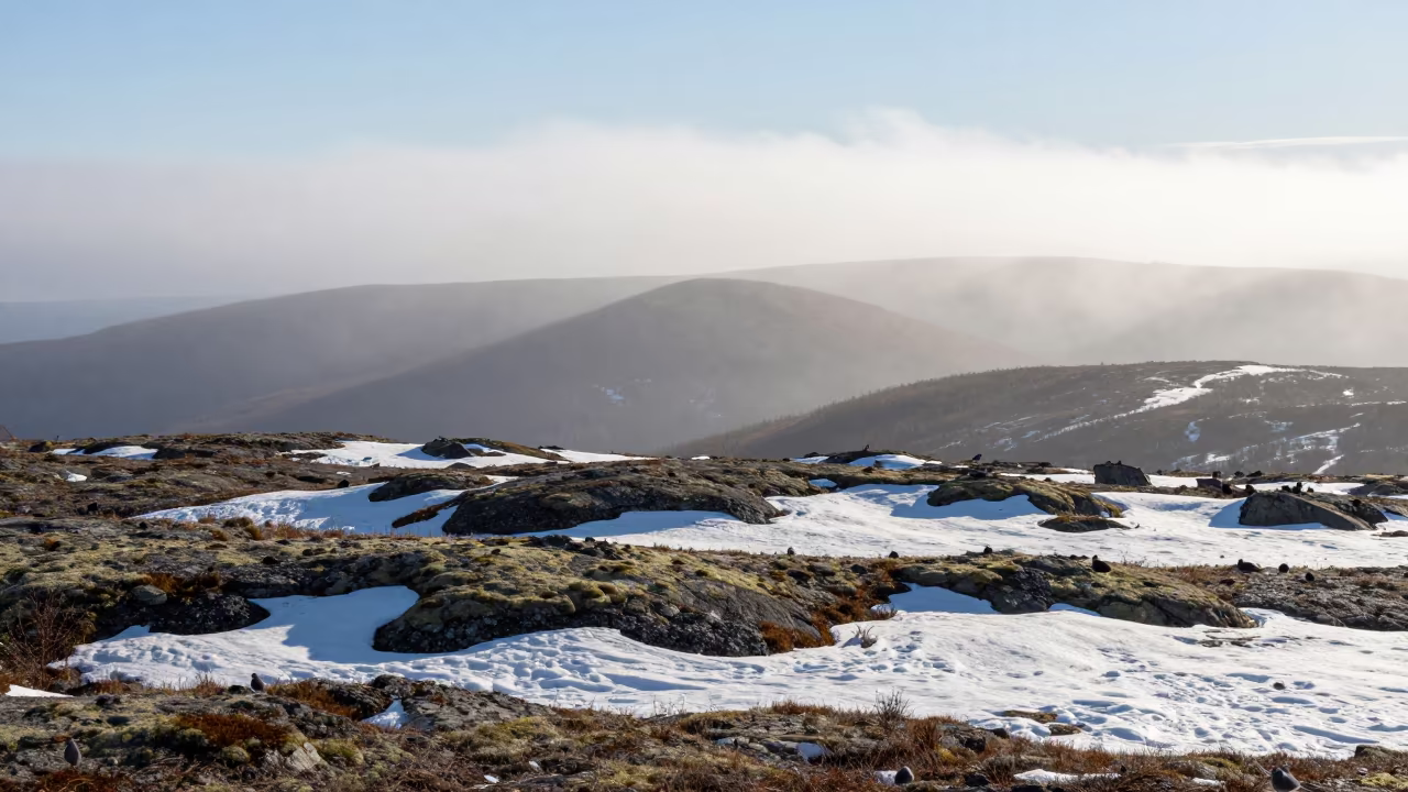 Quebec Plateau Snow Pockets Amid Thick Mist in from a ridge above layered foothills in Quebec