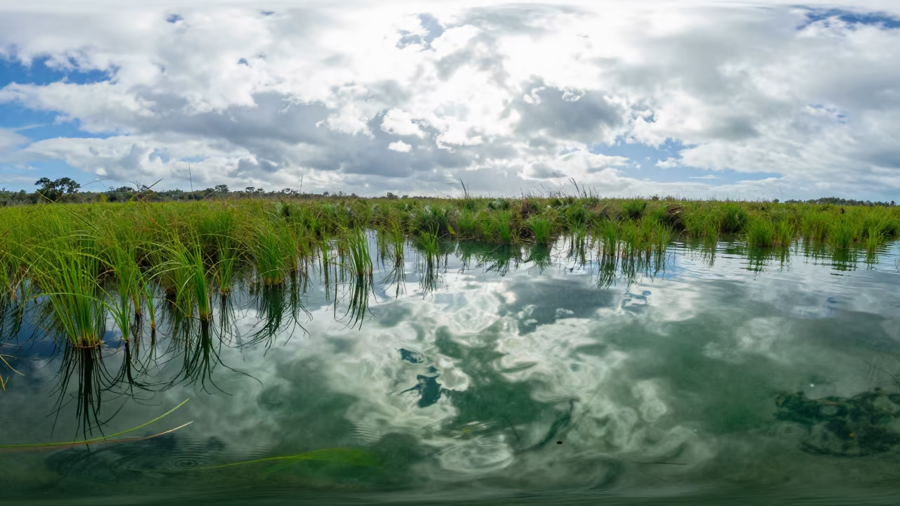 Queensland Seagrass Tide Pools Cloud Reflections in above a seagrass meadow in Queensland