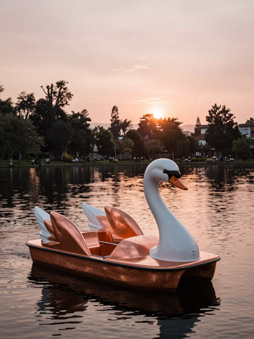 Quito Ecuador Park Lake Swan Pedal Boat in Copper Toned Dusk Light in in Quito, Ecuador