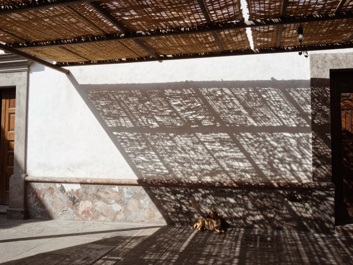Quito street corner morning light through woven cane shade in in Quito, Ecuador