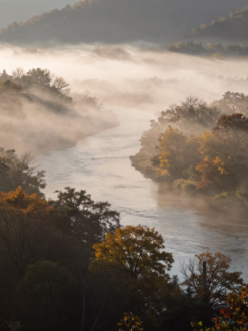 Radiation Fog in Georgia Valley at Dawn in in Georgia