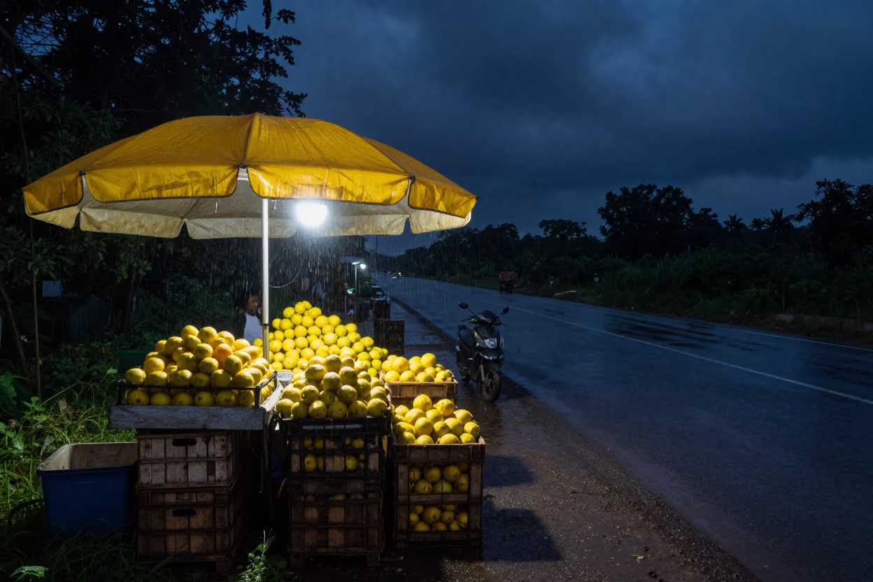 Rain Dripping Umbrella Night Market Jalgaon in at a roadside fruit stand in Jalgaon