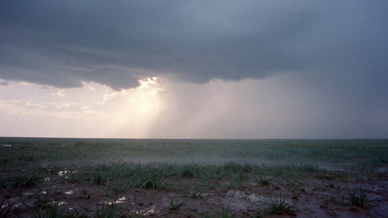 Rain Sideways at Dawn Near Tarim Prairie in near Tarim