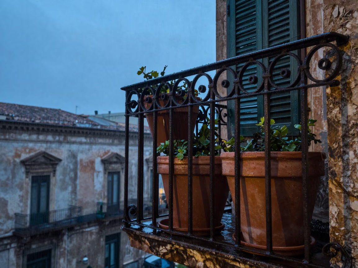 Rain-slicked Terracotta Pots in Palermo in in Palermo, Italy