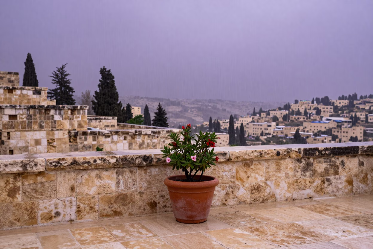 Rain-soaked Terrace in Amman in in Amman, Jordan