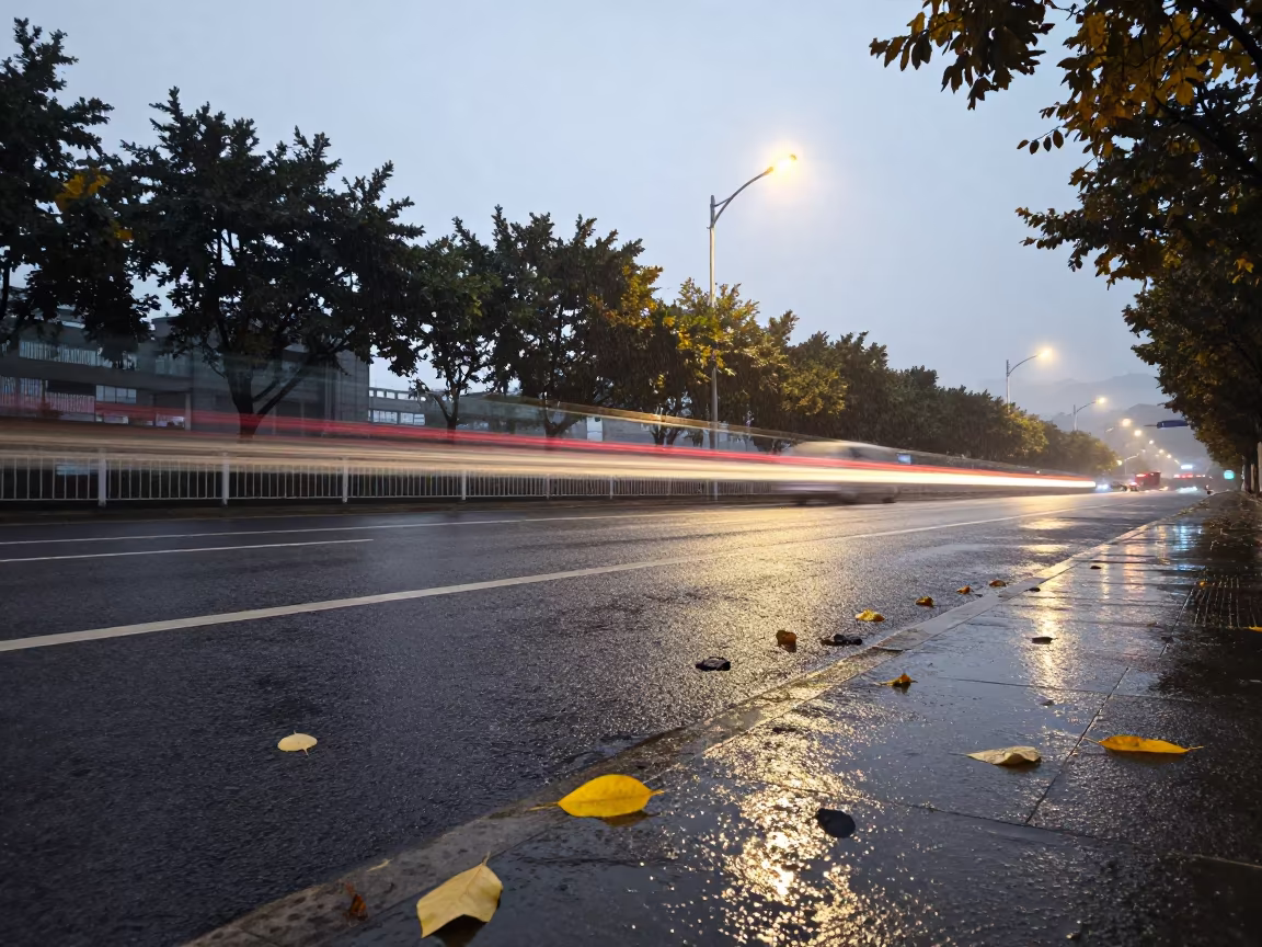 Rain Trails Chongqing Streetlamp Autumn Morning in near Chongqing