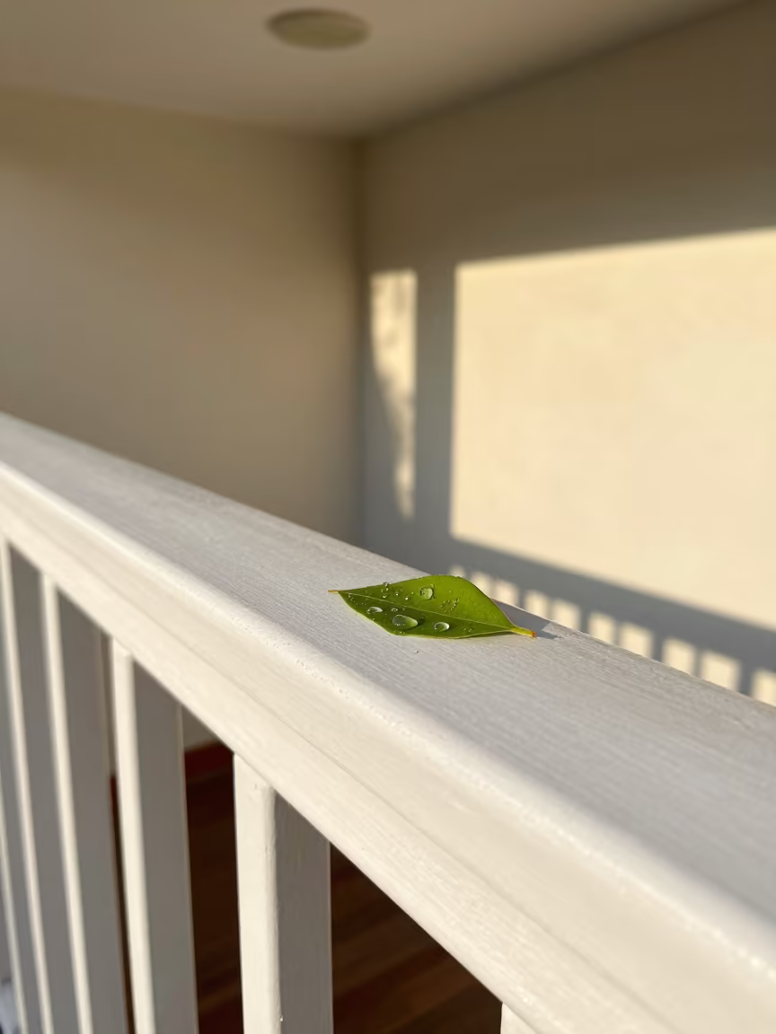 Raindrop on Leaf Tip Pier Railing Samara in on a pier railing in Samara