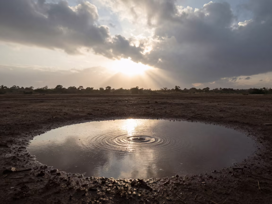 Raindrops Bursting on Valley Puddle at Sunrise Haiti in across a wide valley floor in Haiti