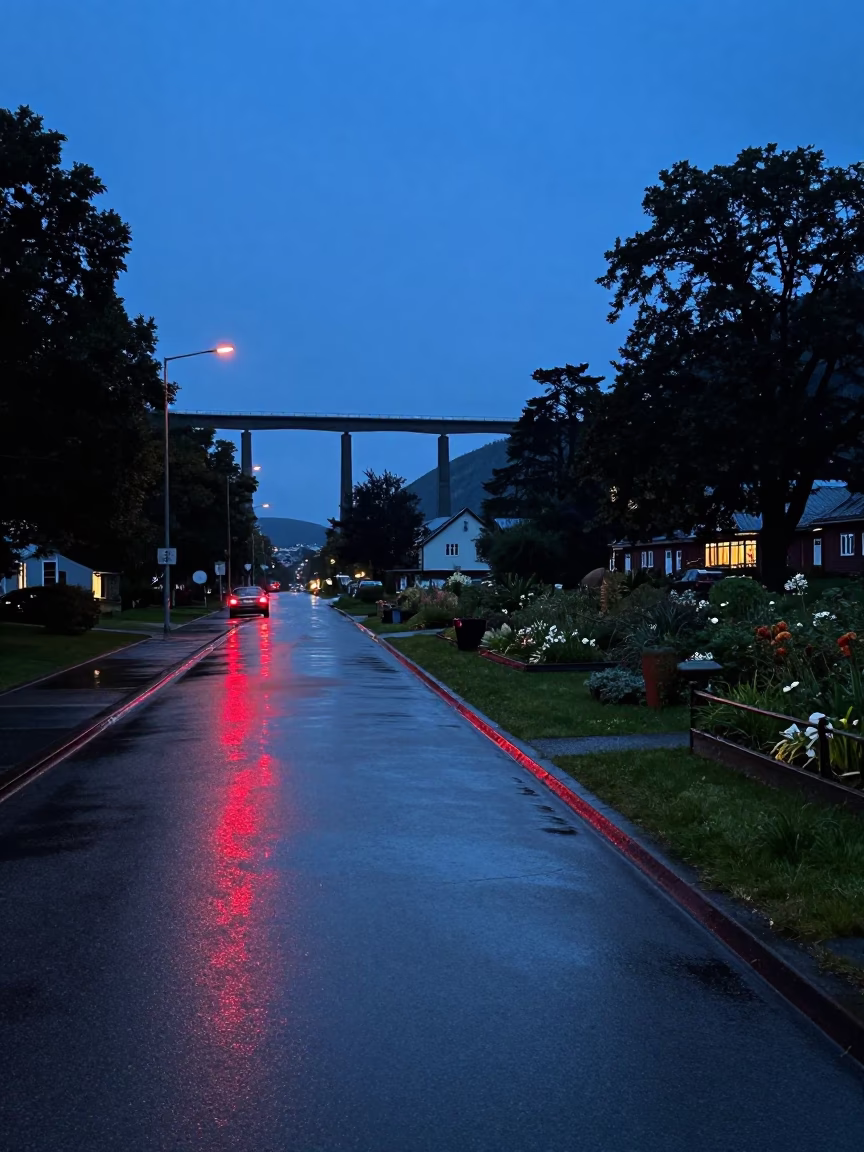 Rainy Evening in Bergen Norway Viaduct Shadow Over Allotment Gardens with Steam Haze in in Bergen, Norway