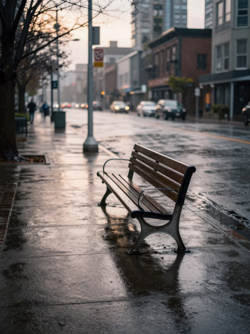 Rainy Seattle Morning Street Scene with Park Bench and Leaf Shadows in in Seattle, Washington, United States