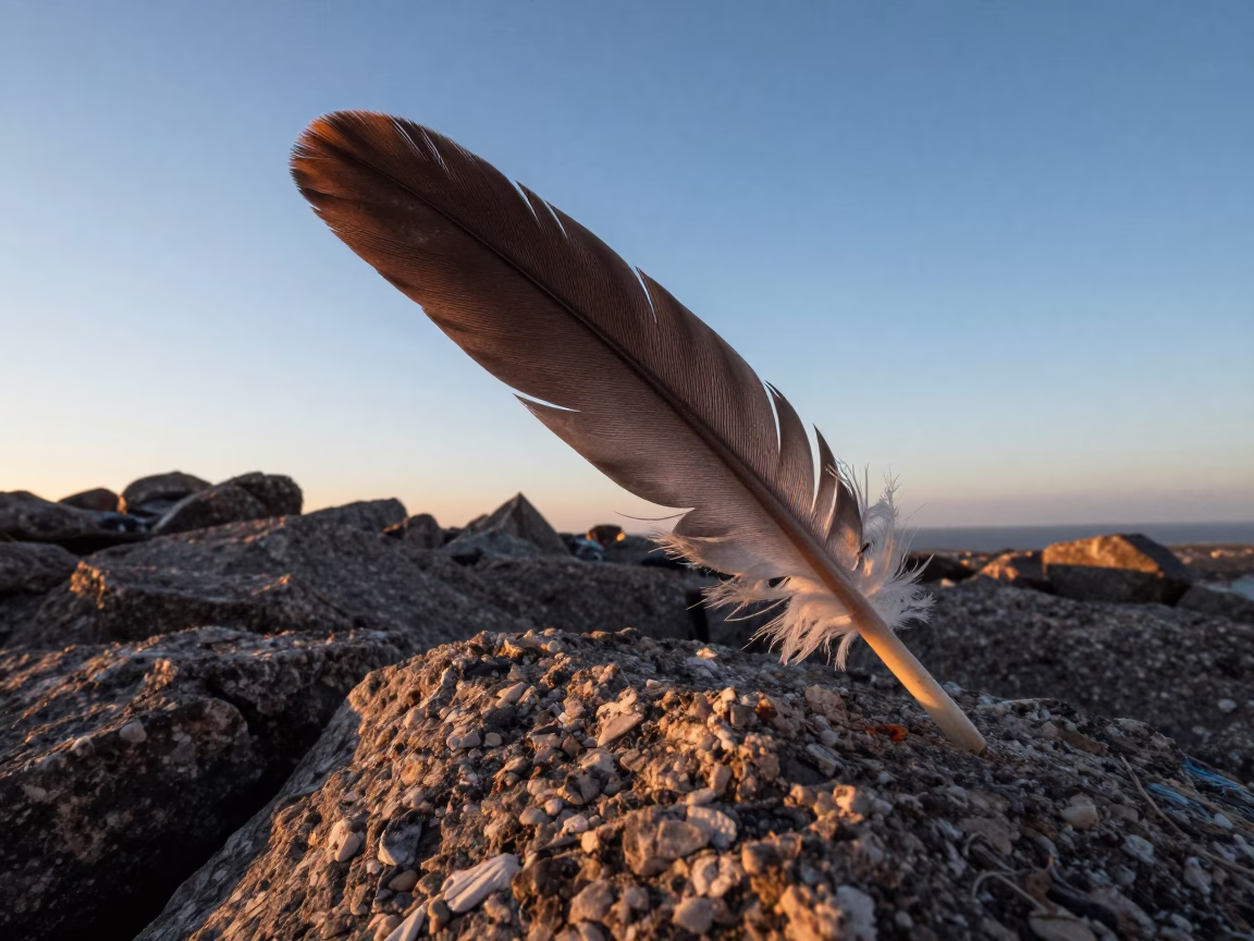 Red Blue Parrot Feather on Wind-Scoured Dar Ridge in on a wind-scoured ridge near Dar es Salaam