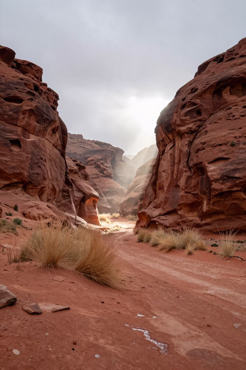 Red Canyon Storm Light Early Morning Mist in near Amman