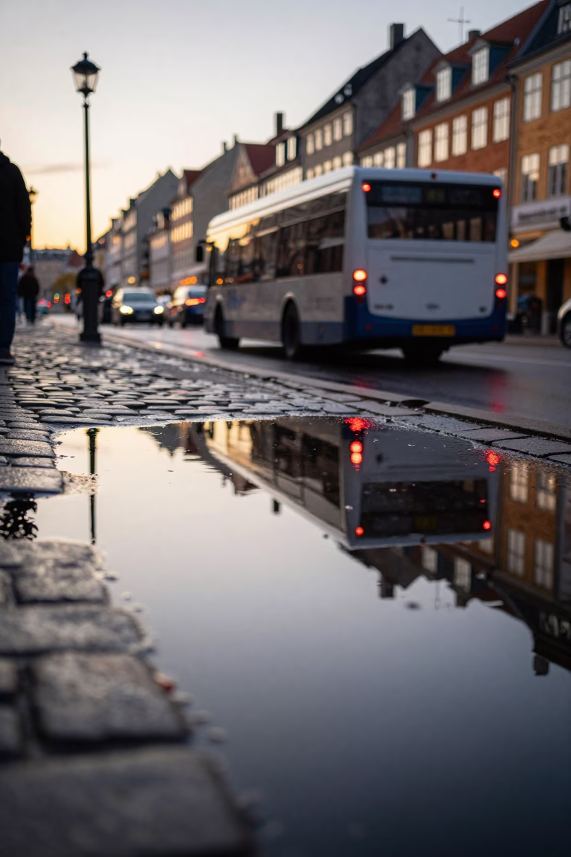 Reflections Puddle at Golden Hour in Copenhagen in in Copenhagen, Denmark