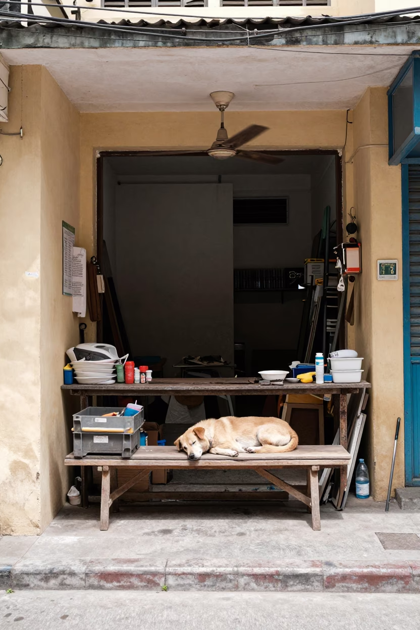 Repair Bench in Ho Chi Minh City in in Ho Chi Minh City, Vietnam
