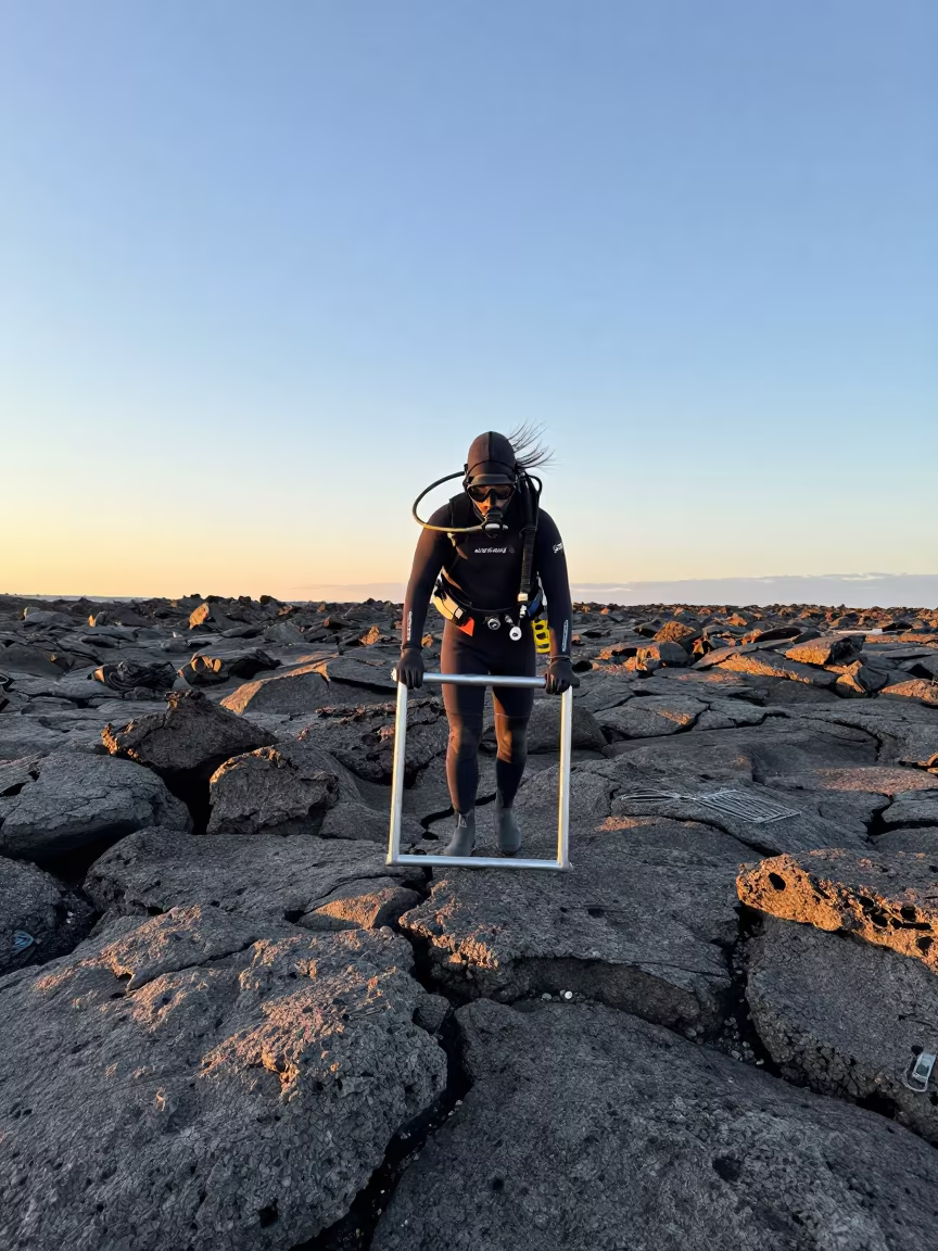 Research Diver Hauling Frame on Lava Rock at Dawn in near Innsbruck