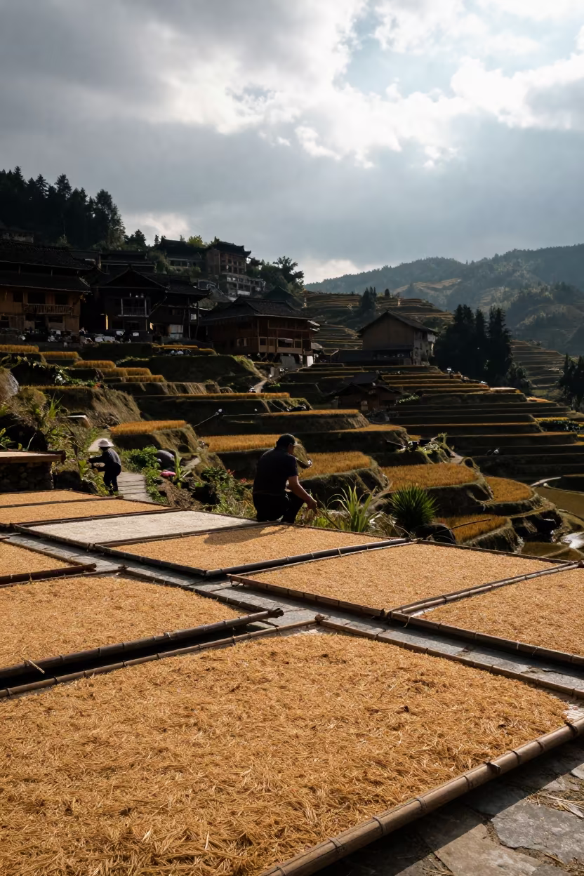 Rice Mats Drying in Zhangjiajie Terraces in among terraced rice paddies in Zhangjiajie