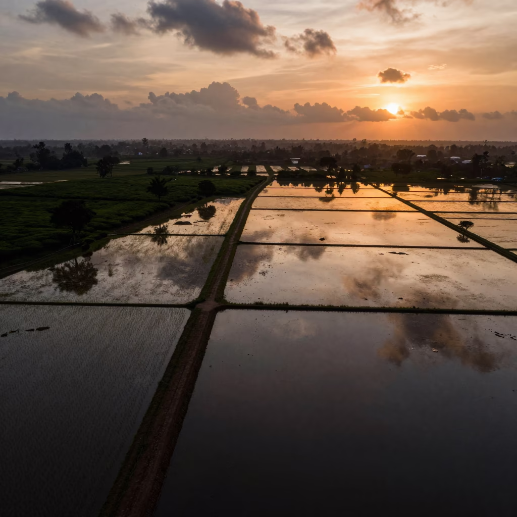 Rice Paddy Reflections Sunset Dar es Salaam in at the edge of a tea plantation near Dar es Salaam