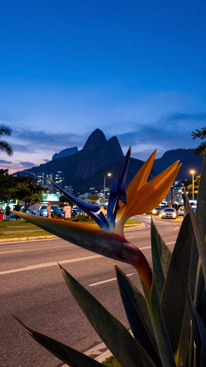 Rio de Janeiro Twilight Street Scene with Bird of Paradise and Coastal Ambience in in Rio de Janeiro, Brazil