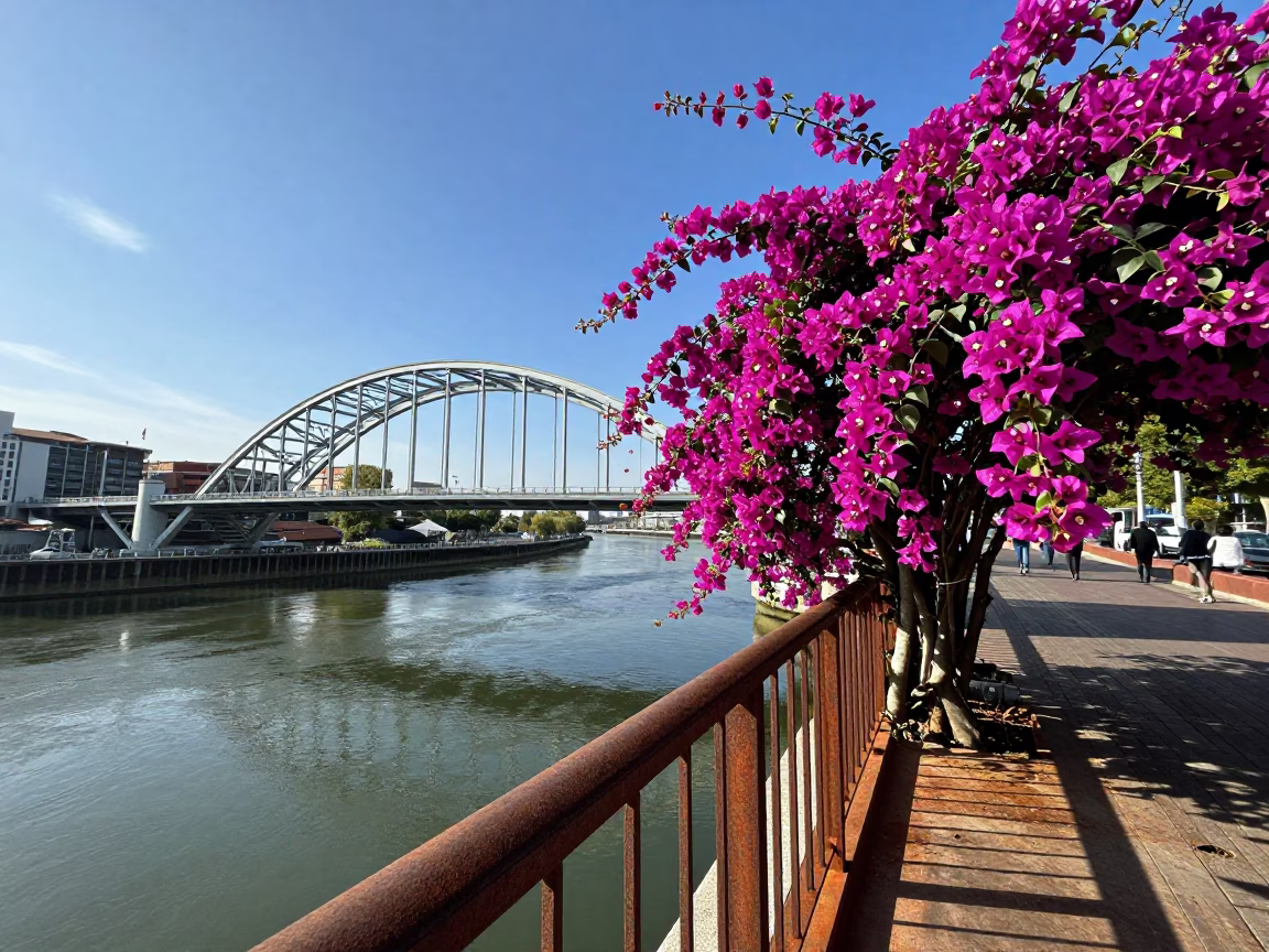 Riverbank Activity in Bilbao in in Bilbao, Spain