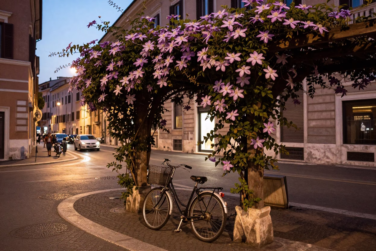 Rome Evening Street Scene with Bicycle Basket and Clematis Vine in in Rome, Italy