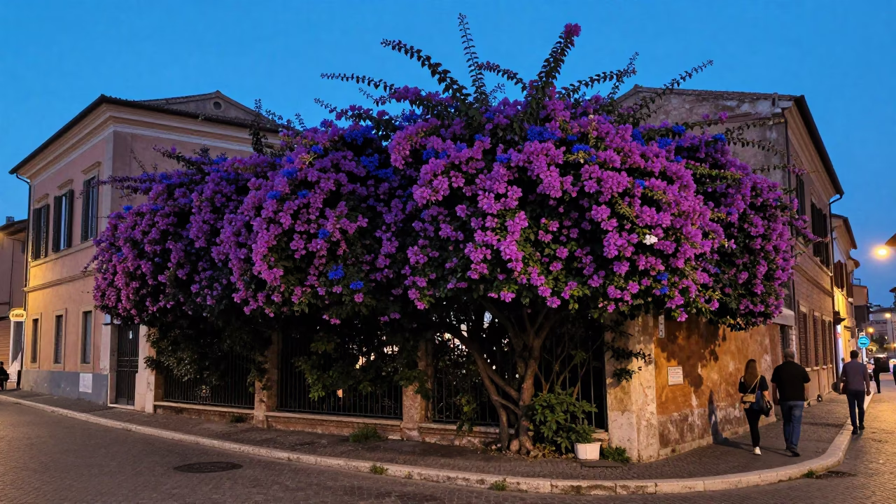 Rome Italy Blue Hour Street Scene with Plumbago Hedge and Vintage 1970s Fashion in in Rome, Italy