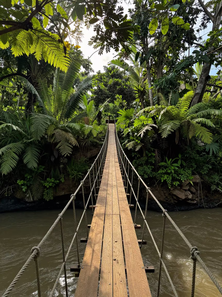 Rope Bridge Swaying Over Jungle River Gorge in near Dar es Salaam