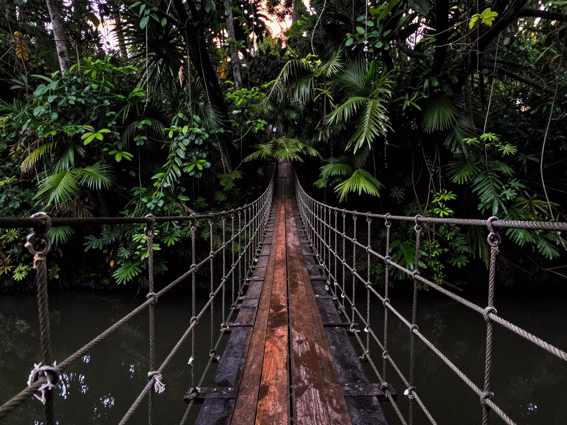 Rope Bridge Over Jungle Gorge Bali Evening Shadow in in Bali
