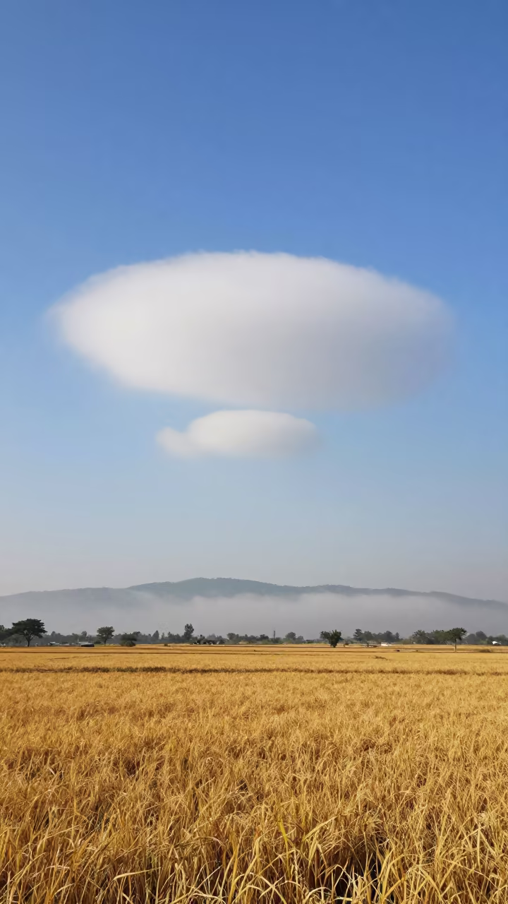 Rotating Wall Cloud Over Manipur Cropland in through low marine fog in Manipur