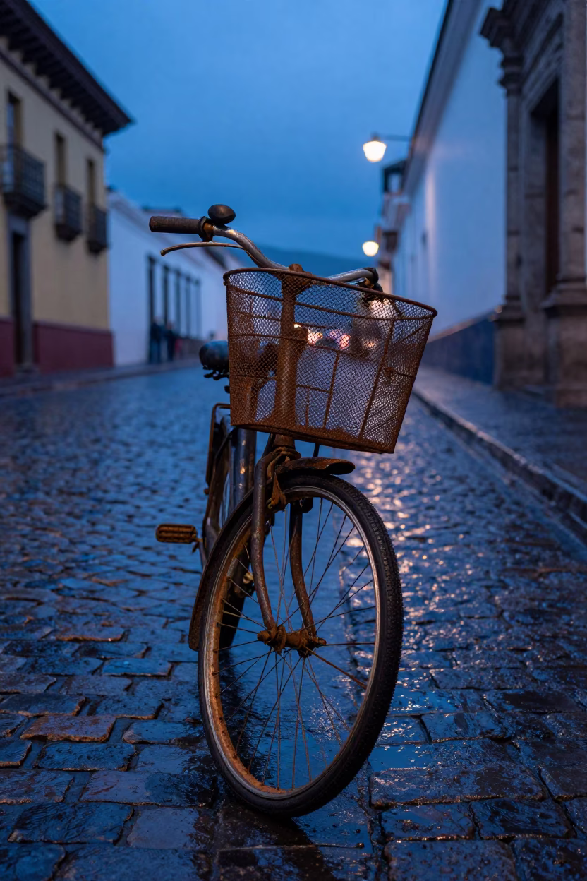 Rusted Bicycle Basket in Quito in in Quito, Ecuador