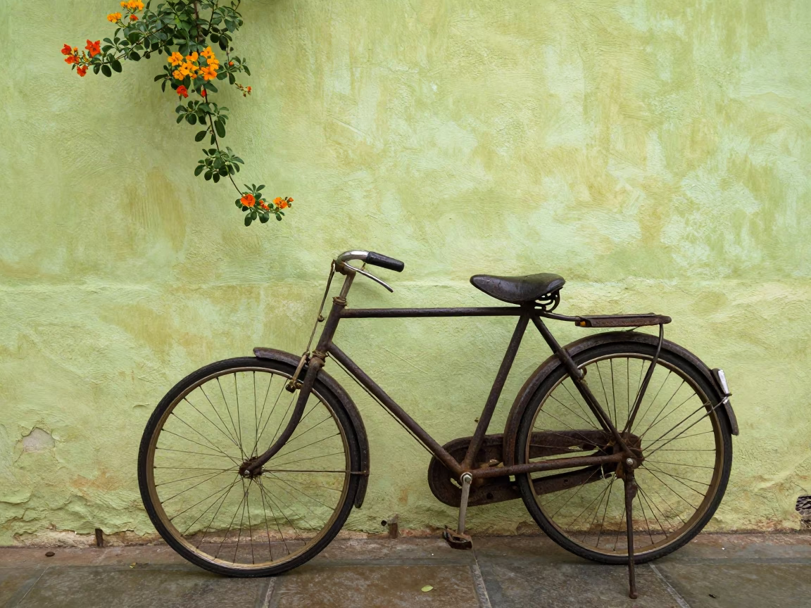 Rusted Bicycle in Jaipur in in Jaipur, India