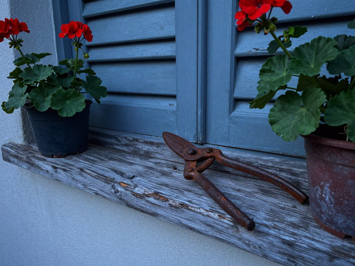 Rusted Garden Shears in Singapore in in Singapore