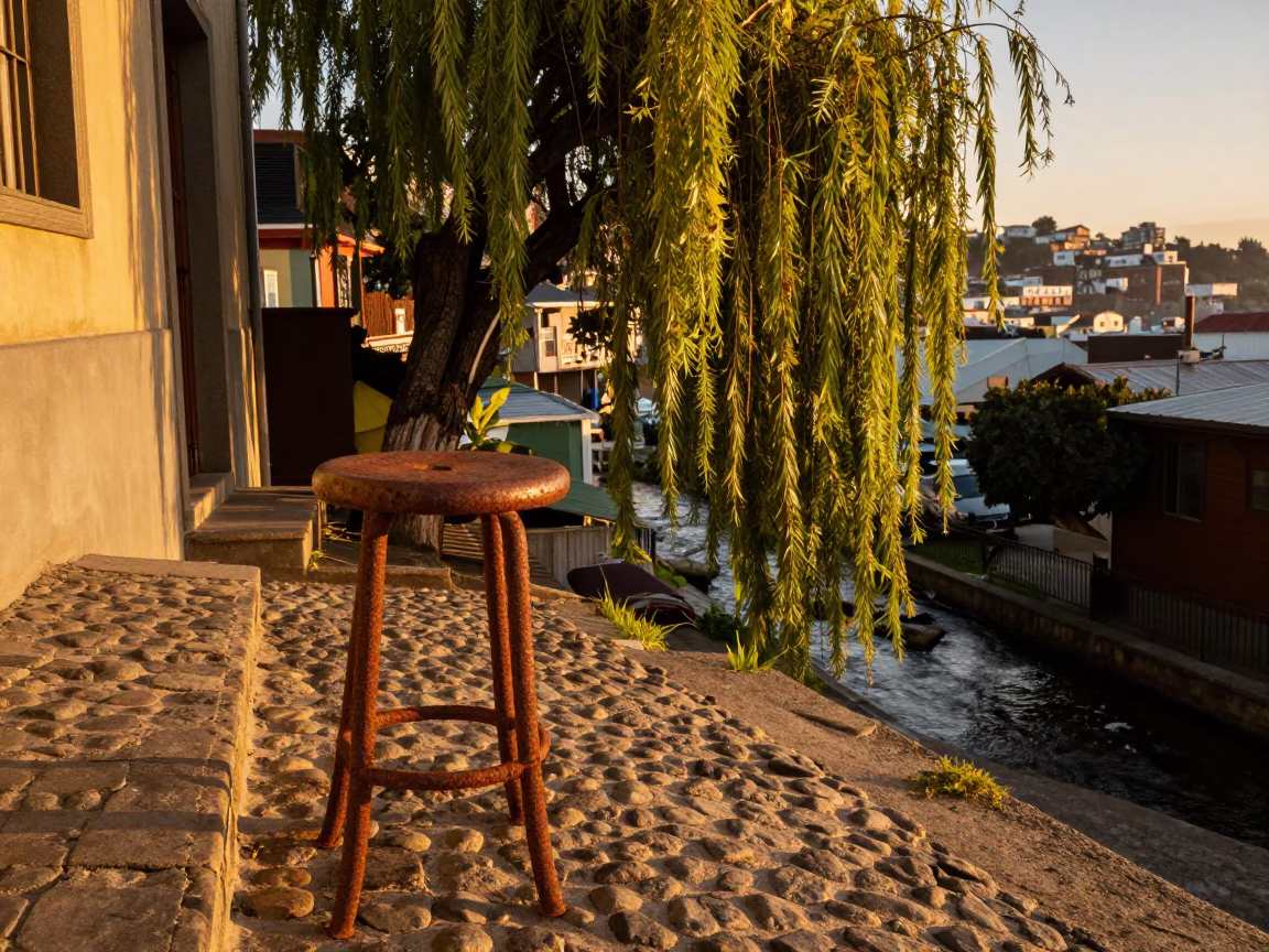 Rusted Stool and Weeping Willow in Valparaiso Evening Light in in Valparaiso, Chile
