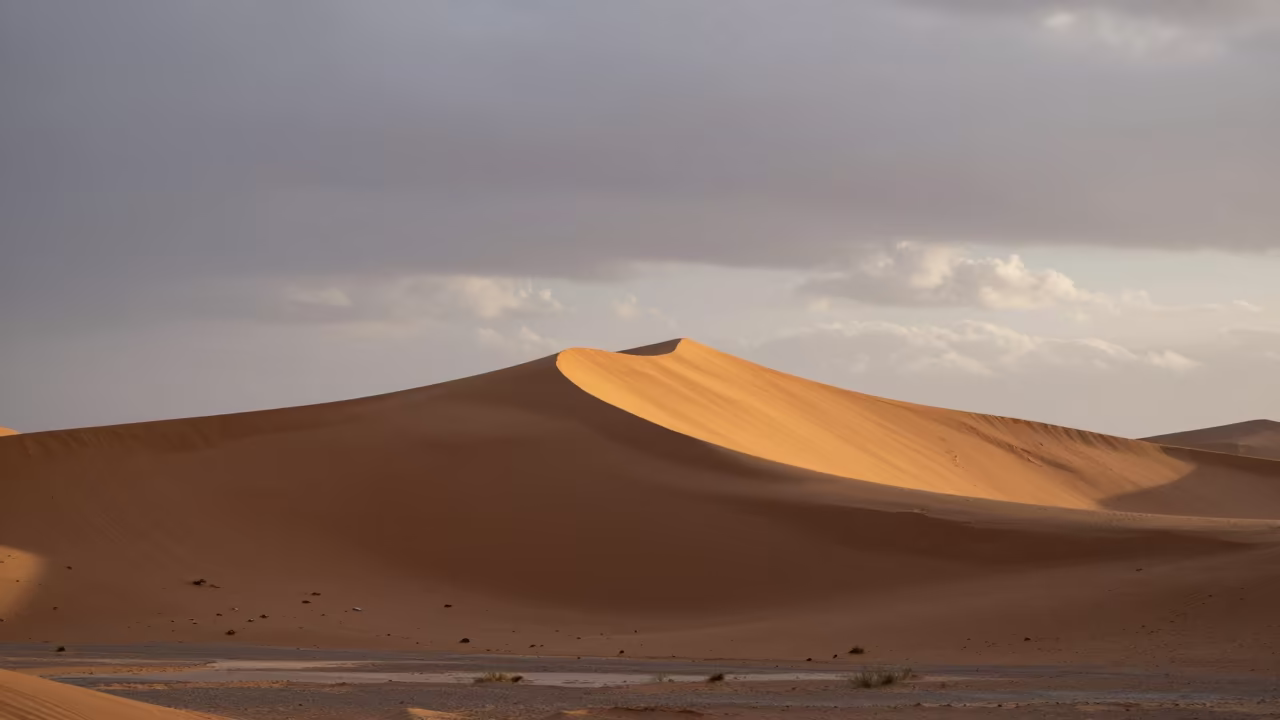 Sahara Dune Crest Dawn Rim Light Shadow in across a floodplain after rain near San Felipe