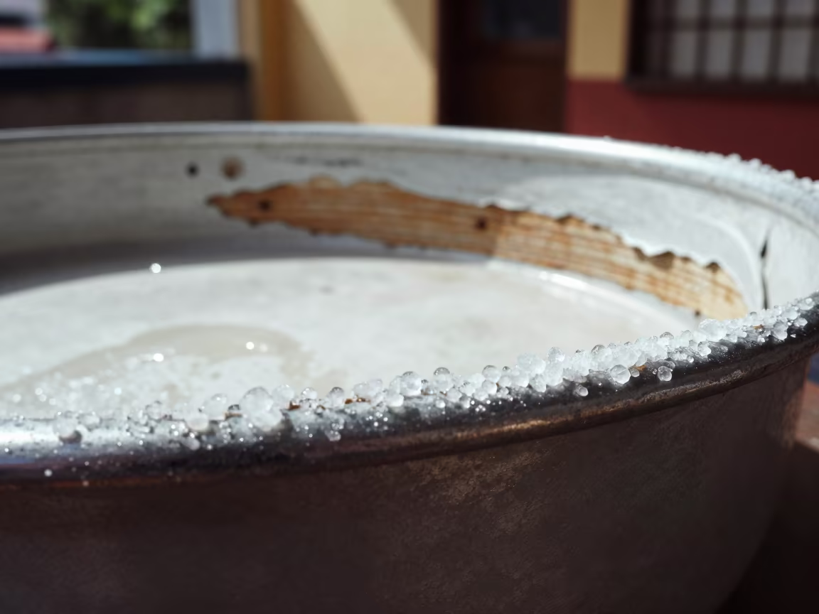 Salt Crystals on Peeling Paint in Medellin in on salt crystals along a pan rim in Medellin