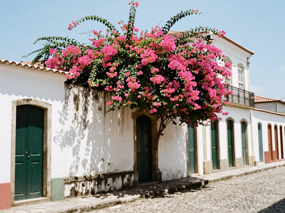 Salvador Brazil Street Scene with Bougainvillea and Colonial Architecture at Noon in in Salvador, Brazil