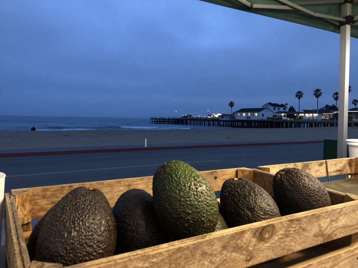 San Diego Coastal Evening View with Avocados and Blue Hour Skyline in in San Diego, California, United States