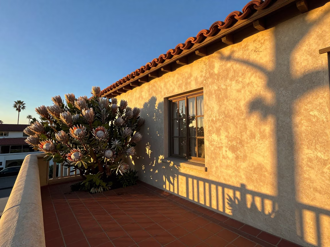 San Diego Light at Golden Hour in in San Diego, California, United States