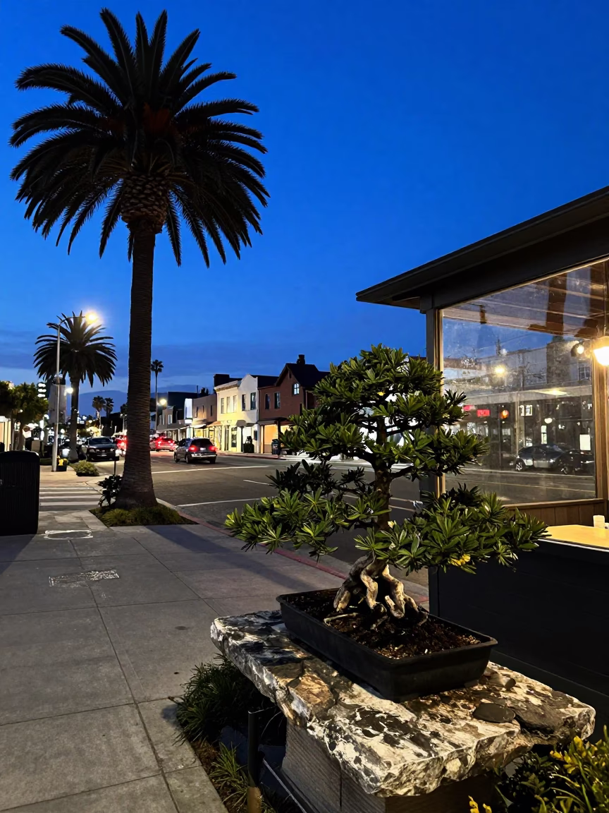 San Diego Twilight Street Scene with Bonsai Juniper and Glass Tumbler in in San Diego, California, United States