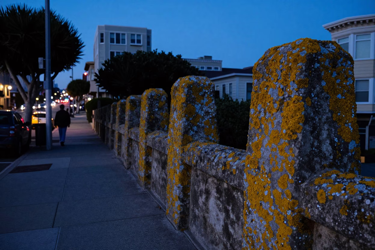 San Francisco Evening Blue Hour Street Scene with Lichen Parapets and Urban Shadows in in San Francisco, California, United States