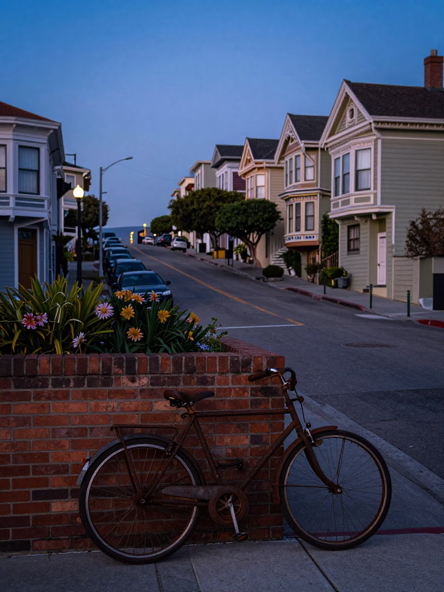 San Francisco Indigo Twilight Street Scene with Bicycle and Fig Tree in in San Francisco, California, United States