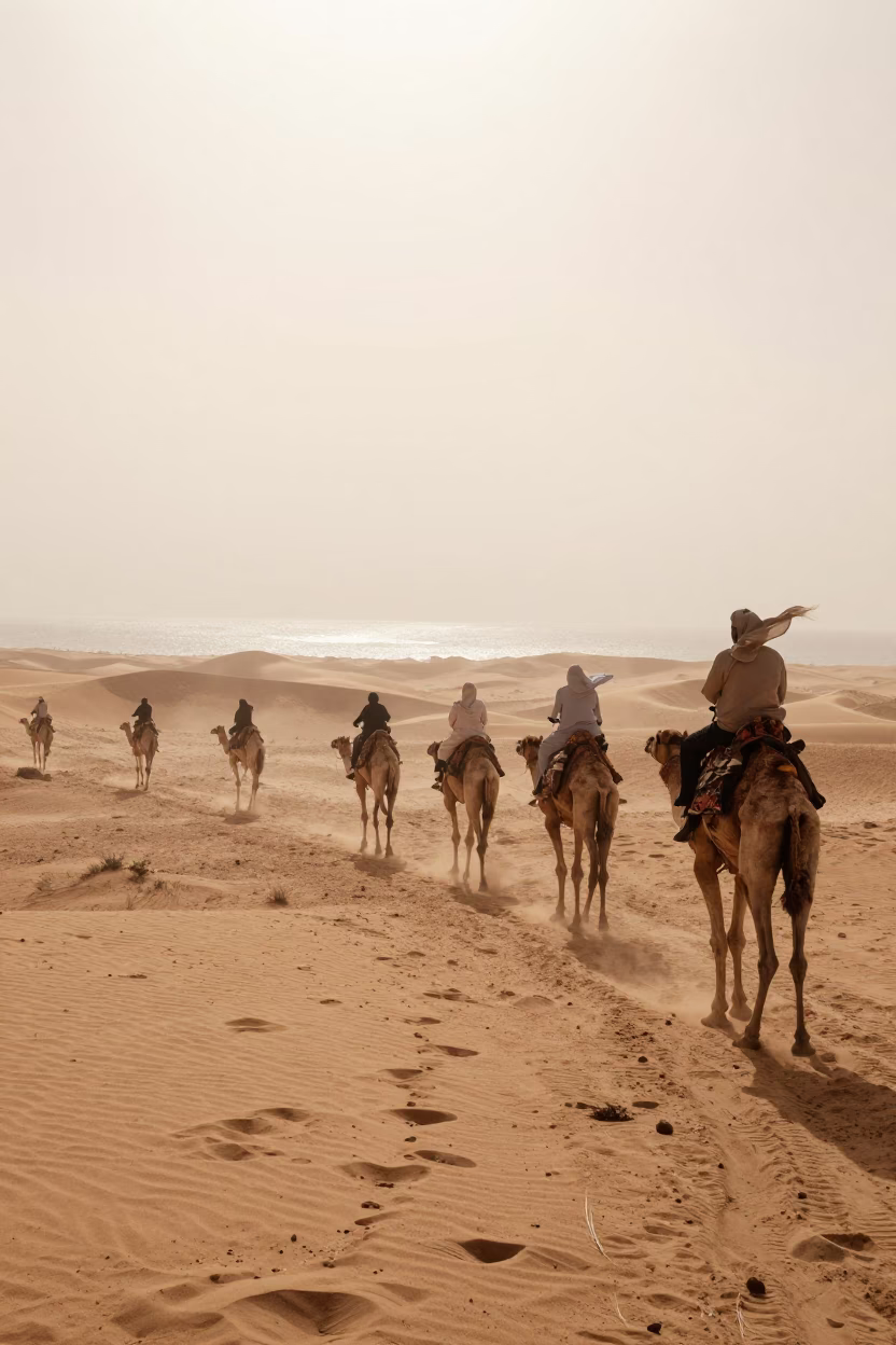 Sandstorm Engulfs Desert Caravan in Sinai Fog in through low marine fog in Sinai