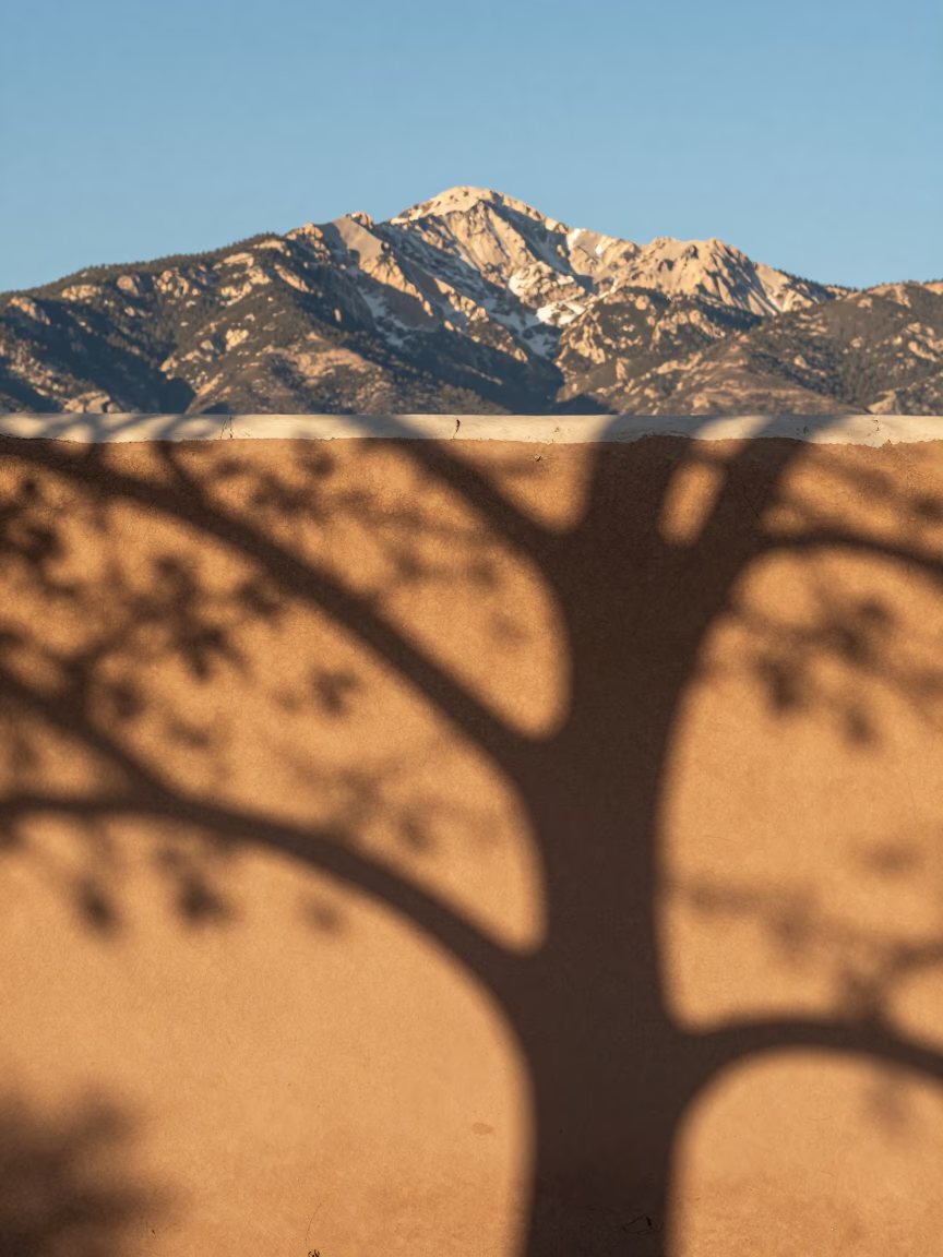 Santa Fe Adobe Plaster Wall Sunlight and Leaf Shadows Early Morning in in Santa Fe, New Mexico, United States