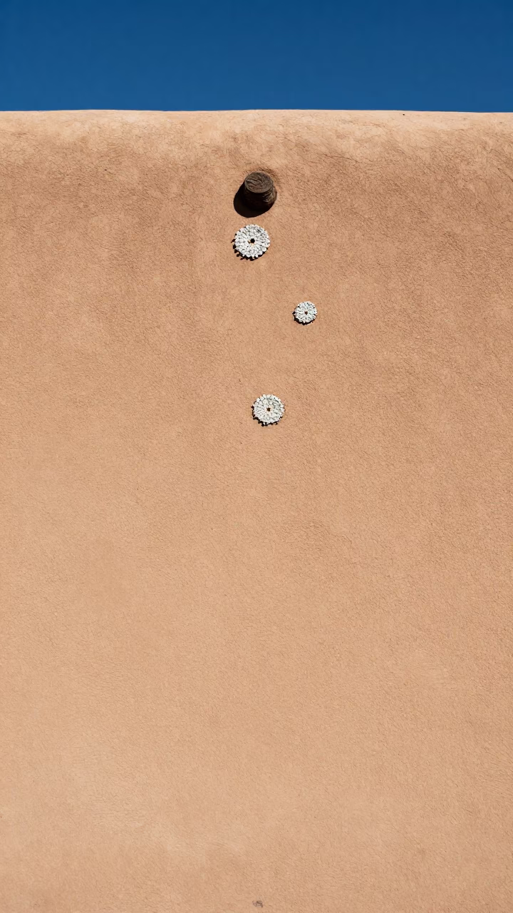 Santa Fe Lichen Details at The Flat Glare Of Noon Light in in Santa Fe, New Mexico, United States